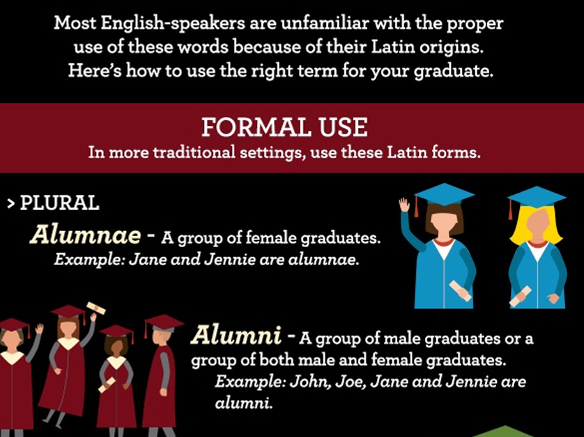 infographic of alum descriptions